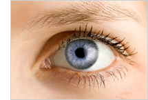 Augendiagnose